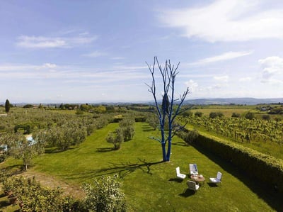 Luxury Villa Photo #8