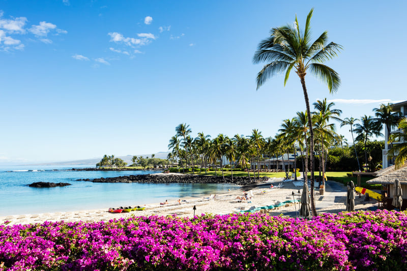 Ocean’s Edge at Pauoa