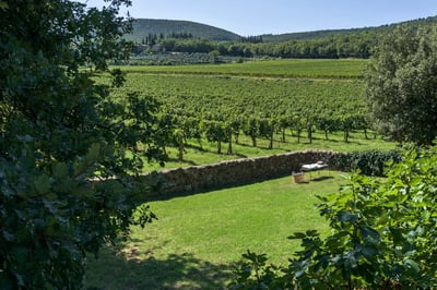 Luxury Villa Photo #21