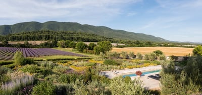 Luxury Villa Photo #6