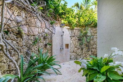 Luxury Villa Photo #43