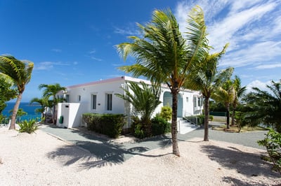 Luxury Villa Photo #3