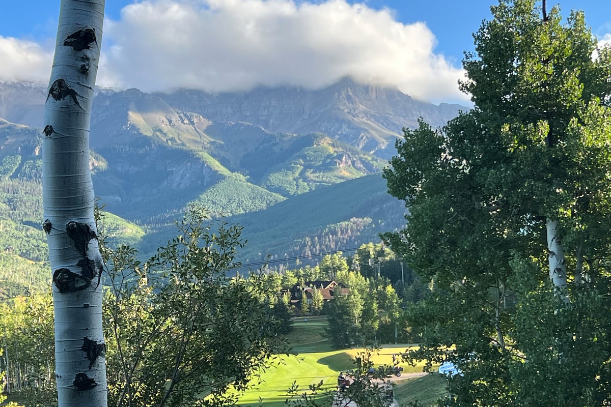 Palisade at Pine Meadows