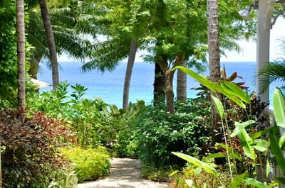 Luxury Villa Photo #9