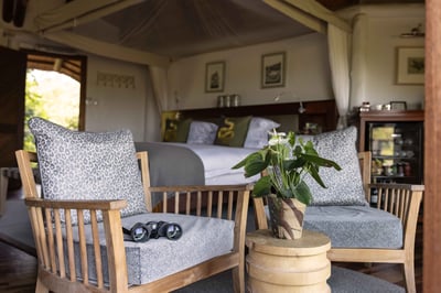 Luxury Villa Photo #2