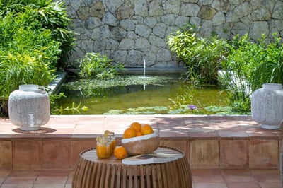 Luxury Villa Photo #42