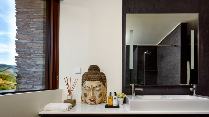 Douro Riverfront Villa