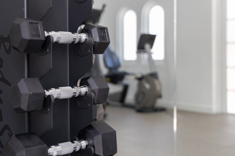 Old Trees 302 | La Mirage