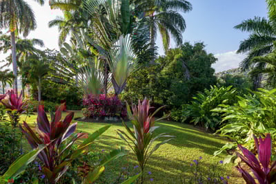 Luxury Villa Photo #39