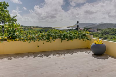 Luxury Villa Photo #10