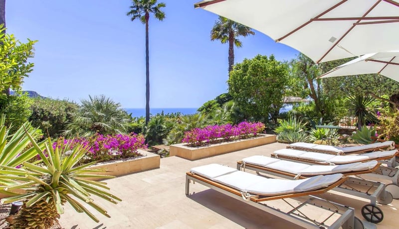 Palmeras de Mallorca