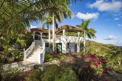 Luxury Villa Photo #3