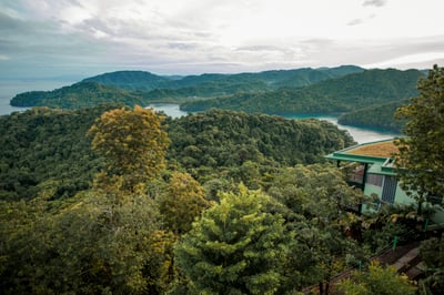 Luxury Villa Photo #6