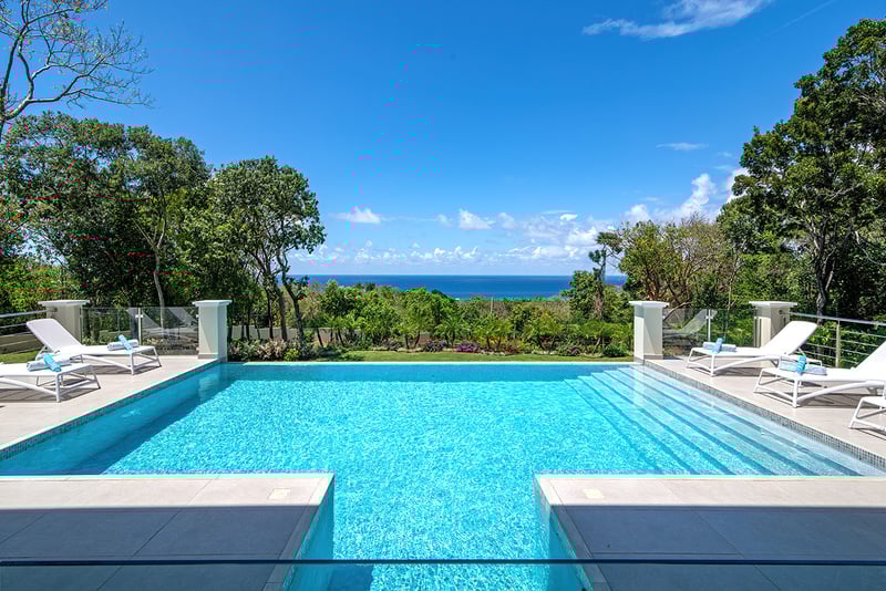 BougainVilla on Spring Farm