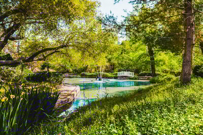 Luxury Villa Photo #10