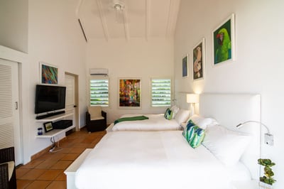 Luxury Villa Photo #70