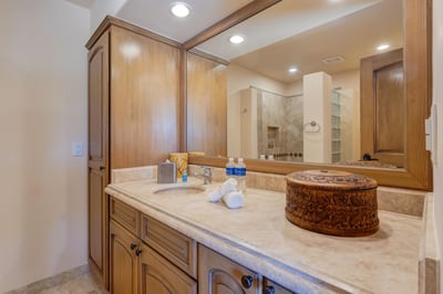 Luxury Villa Photo #26