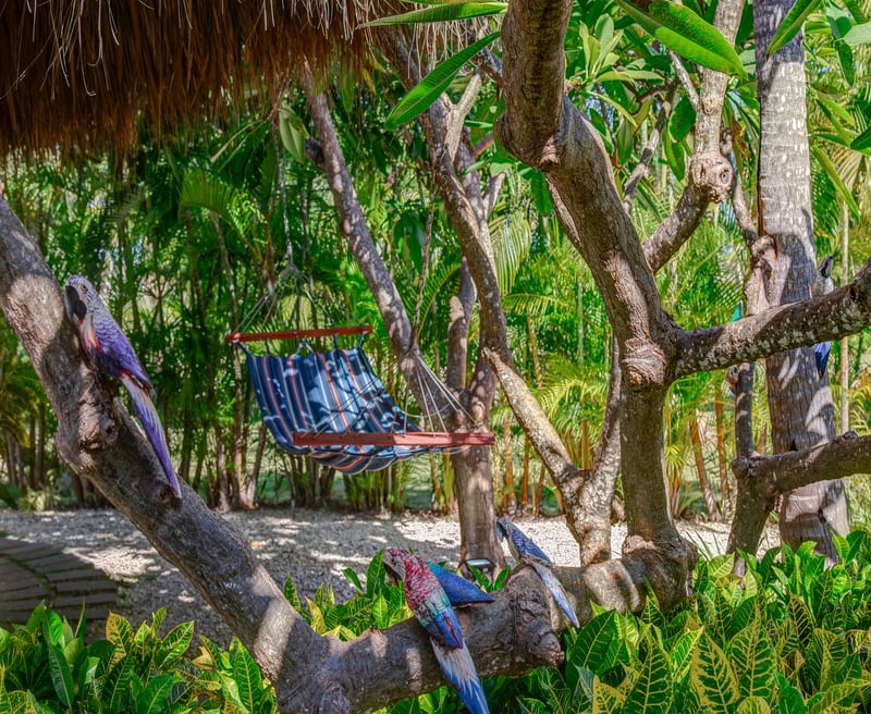 La Cana H3 | Caballet