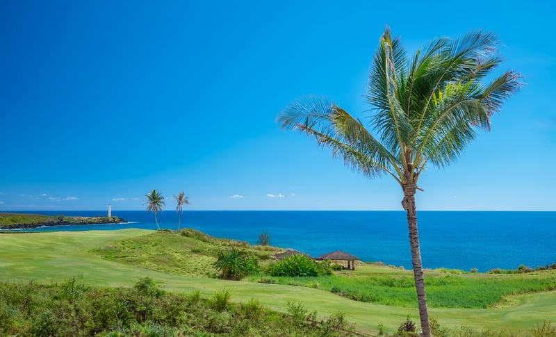 Laola Nani 4 BDM Townhouse