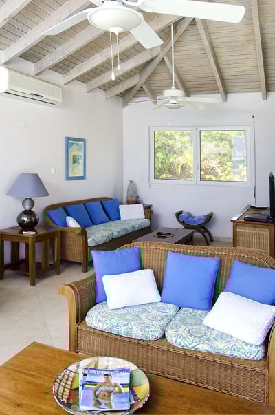Luxury Villa Photo #8