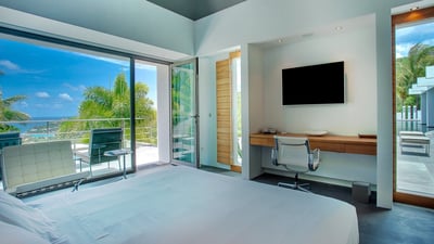 Luxury Villa Photo #65