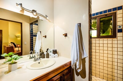 Luxury Villa Photo #22