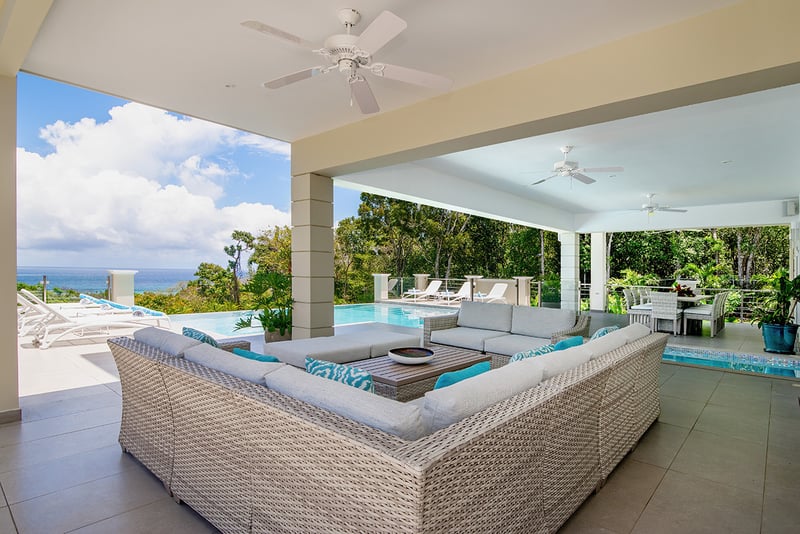 BougainVilla on Spring Farm