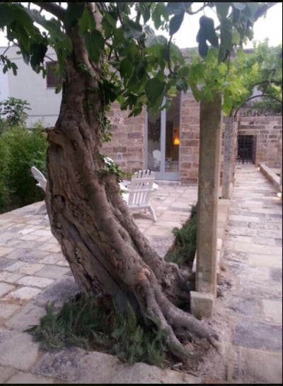 Luxury Villa Photo #6