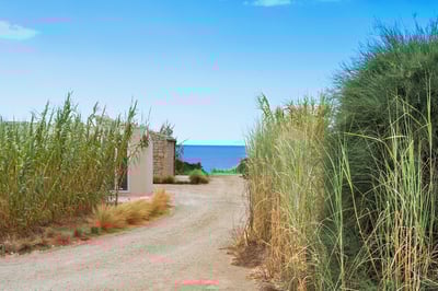 Luxury Villa Photo #13