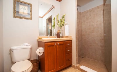 Luxury Villa Photo #14