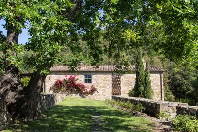 Luxury Villa Photo #7