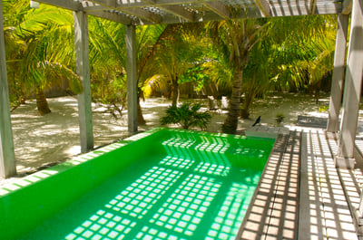 Luxury Villa Photo #4