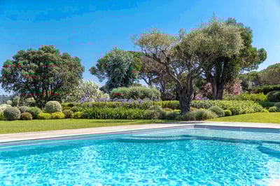 Luxury Villa Photo #6