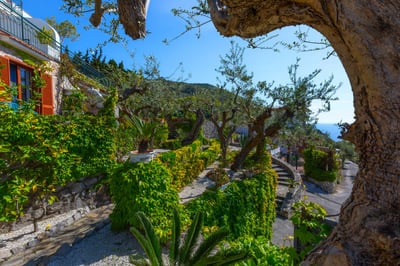 Luxury Villa Photo #19