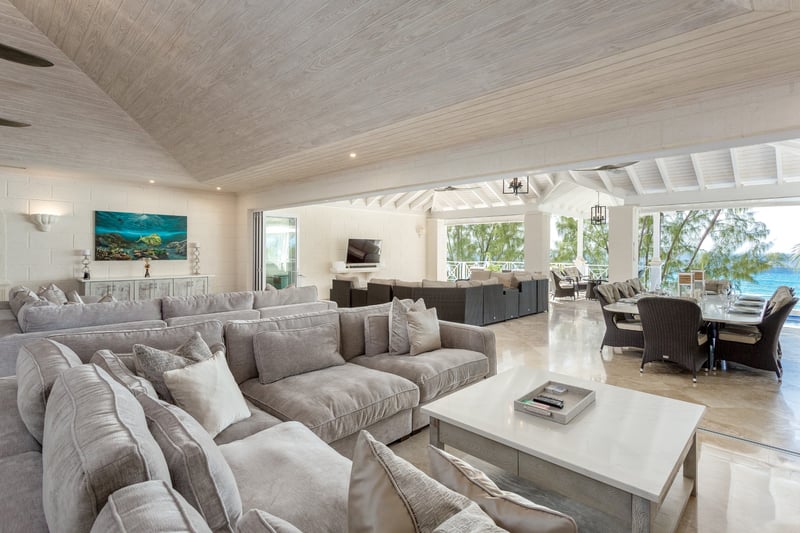 Old Trees 302 | La Mirage