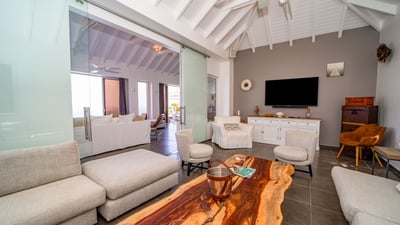 Luxury Villa Photo #38