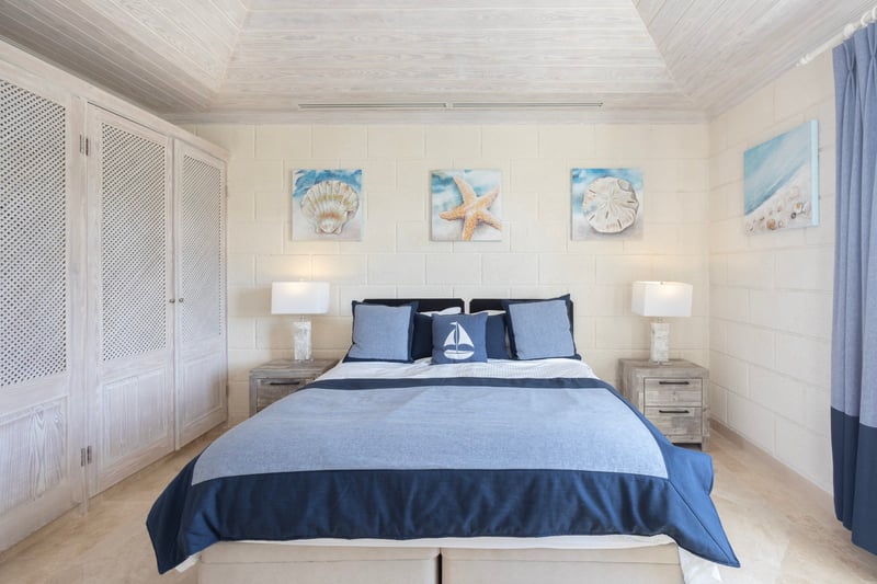 Old Trees 302 | La Mirage