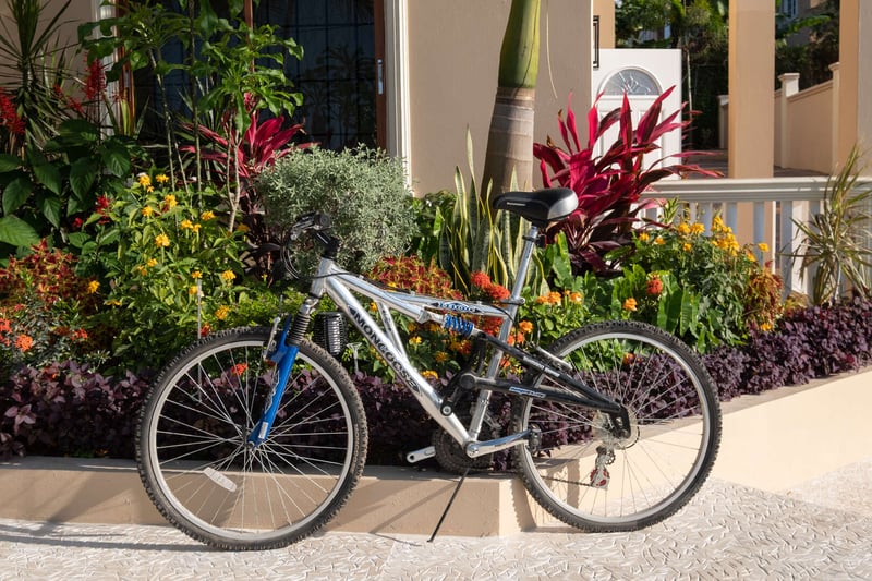 Villa Deluxe Paradise