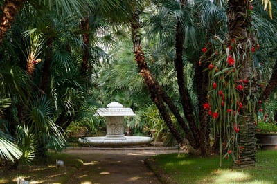 Luxury Villa Photo #40