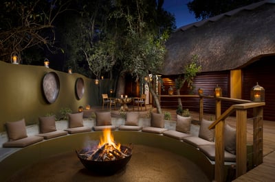 Safari Suite