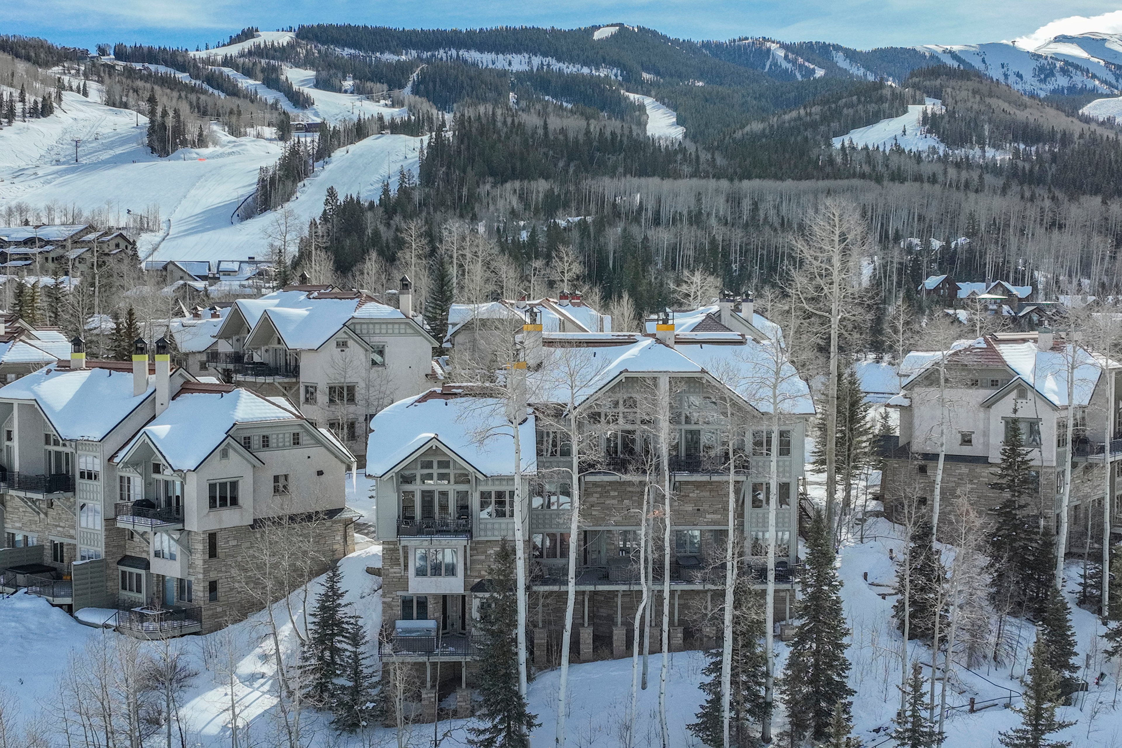 Ascent at Aspen Ridge - 31