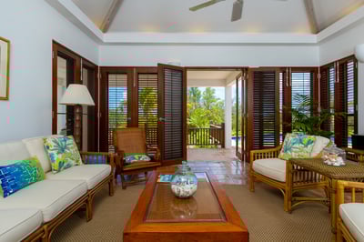 Coconut Palm