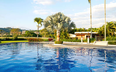 Communal Pool