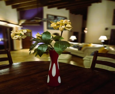 Luxury Villa Photo #25