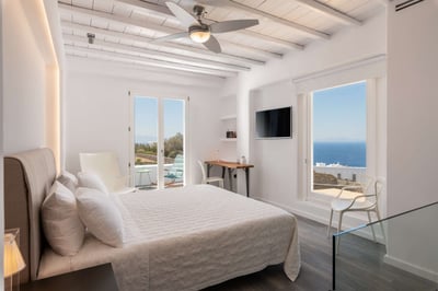 Luxury Villa Photo #21