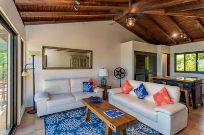 Luxury Villa Photo #31
