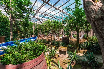 Luxury Villa Photo #12