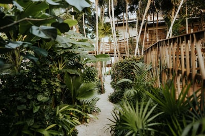 Luxury Villa Photo #62