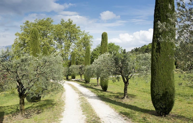 Bastide des Chenes