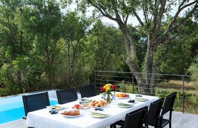 Luxury Villa Photo #3